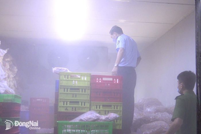 Lực lượng chức năng kiểm tra kho lạnh. Ảnh: Quốc Vinh