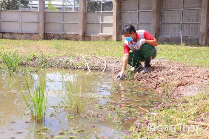 Nhân viên kỹ thuật kiểm tra chất lượng nguồn nước tại khu nuôi sếu trước ngày tiếp nhận đàn sếu đầu đỏ đợt 2.