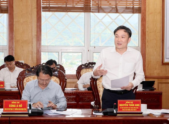 Đồng chí Nguyễn Tuấn Anh - Ủy viên dự khuyết Ban Chấp hành Trung ương Đảng, Phó Bí thư Thường trực Tỉnh ủy phát biểu tại buổi làm việc. 
