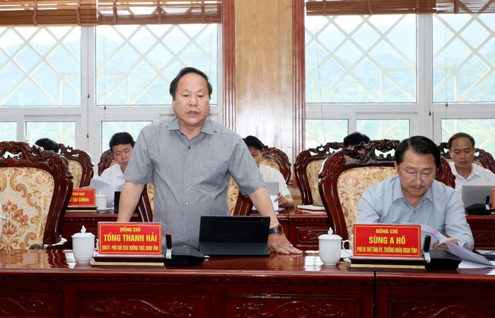 Đồng chí Tống Thanh Hải - Ủy viên Ban Thường vụ Tỉnh ủy, Phó Chủ tịch Thường trực UBND tỉnh phát biểu tại buổi làm việc. 