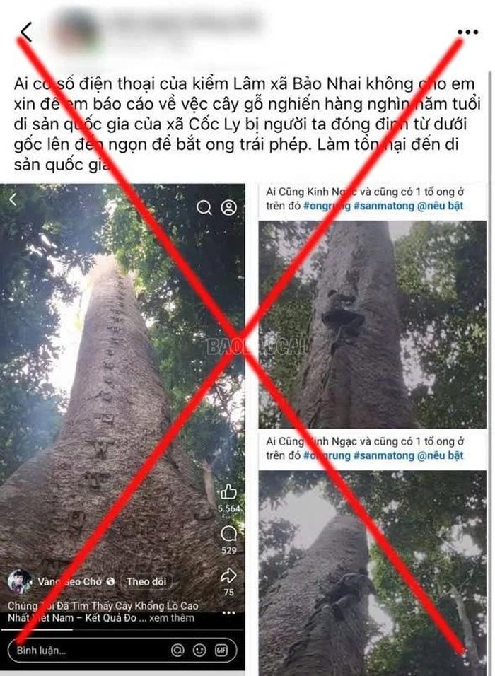 Bài đăng sai sự thật của chị H. trên trang cá nhân.