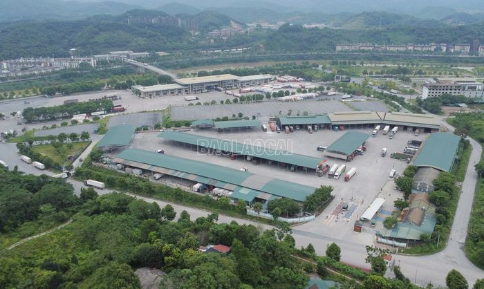 Hoạt động xuất nhập khẩu hàng hóa qua cửa khẩu trên địa bàn tỉnh Lào Cai diễn ra ổn định.