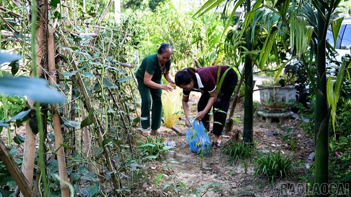Hội Liên hiệp Phụ nữ xã Yên Bình đã xây dựng 7 “Ngôi nhà xanh” tại các thôn trên địa bàn.