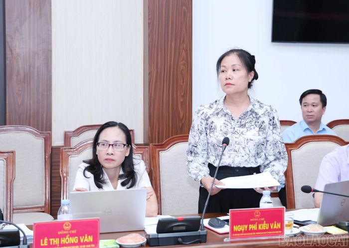 Lãnh đạo các Ban HĐND tỉnh phát biểu tại phiên họp.