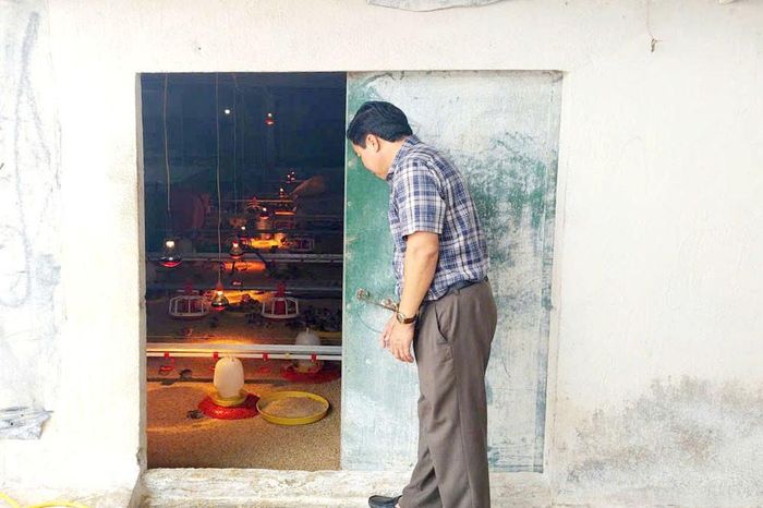 Chăn nuôi quy mô trang trại ở xã Đắk Sắk phát triển ổn định.