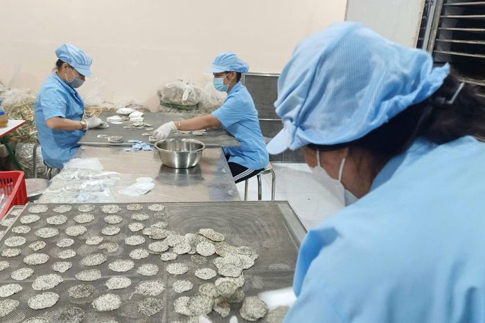 Đóng gói sản phẩm tại HTX Thanh Long sạch Hòa Lệ (xã Hàm Thuận).