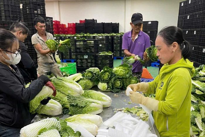 Sản xuất tại Công ty TNHH SX-TM-XNK Thuận Thành (xã Đức Trọng)