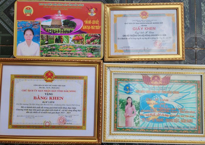 Sự nỗ lực của bản thân và tinh thần, trách nhiệm giúp đỡ cộng đồng, chị H’Liêm được các cấp chính quyền, tổ chức hội tặng nhiều danh hiệu thi đua, phần thưởng cao quý