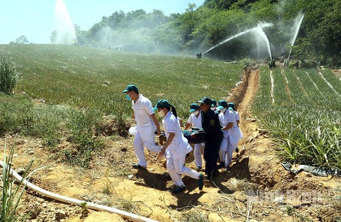 Tổ Y tế cứu chữa người bị thương khi tham gia chữa cháy rừng tại phường Tam Điệp.