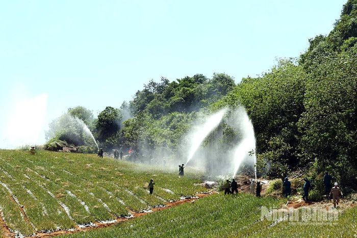 Lực lượng chức năng phối hợp diễn tập chữa cháy rừng tại Tổ dân phố Thống Nhất, phường Tam Điệp.