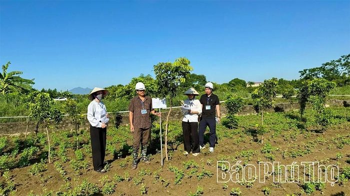 Các tổ kê khai, kiểm đếm thực hiện nhiệm vụ.