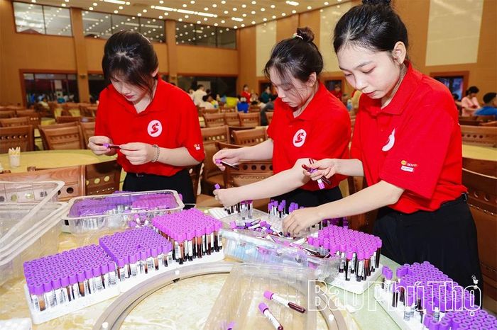 Các mẫu máu được lưu theo đúng quy trình.