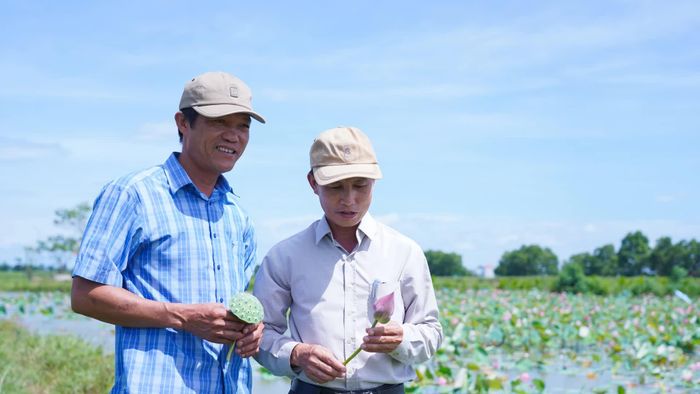 Mô hình trồng sen kết hợp nuôi cá tạo thu nhập ổn định và thường xuyên cho gia đình anh Lê Bá Khánh (bìa trái) - Ảnh: L.T