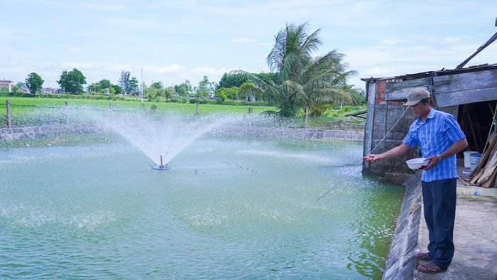 Nhờ nắm bắt được kỹ thuật nuôi, mô hình tôm càng xanh của gia đình anh Lê Bá Khánh hiện cho hiệu quả cao - Ảnh: L.T