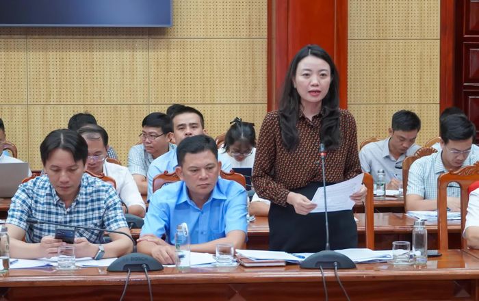 Đại biểu phát biểu tại buổi làm việc - Ảnh: N.H