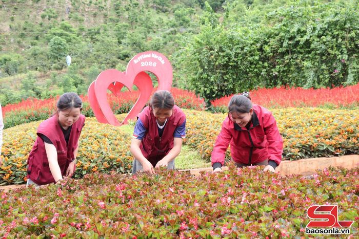 Khu du lịch Happy Land Mộc Châu, phường Mộc Châu thu hút, tạo việc làm ổn định cho nhiều lao động.