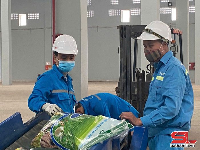 Công nhân làm việc tại Công ty cổ phần phân bón Sông Lam Tây Bắc.