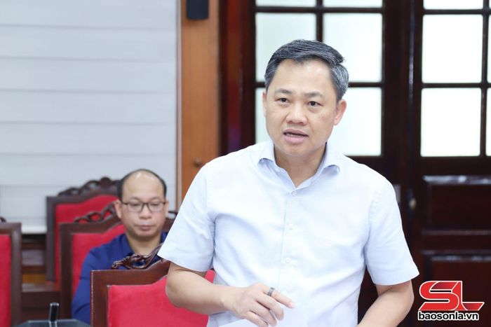 Đồng chí Nguyễn Đình Việt, Phó Bí thư Tỉnh ủy, Chủ tịch UBND tỉnh, phát biểu tại cuộc họp.