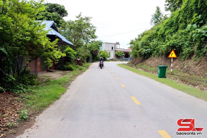 Đường về xã Tân Phong.