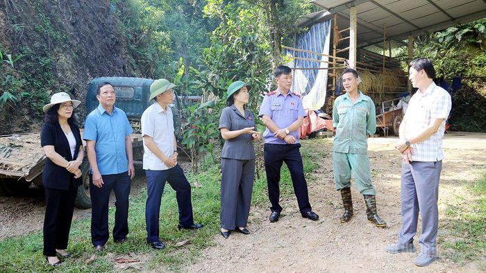 Đồng chí Lý Thị Lan cùng đoàn công tác khảo sát nắm bắt hiệu quả việc giao khoán đất tại hộ gia đình anh Lê Văn Quang, thôn Yên Thịnh, xã Hàm Yên.
