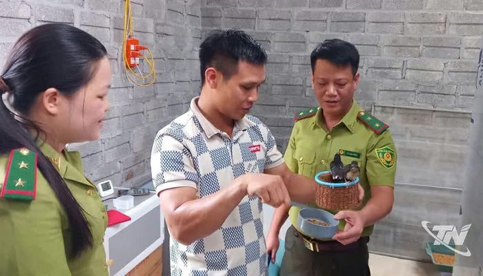 Cán bộ kiểm lâm Hạt kiểm lâm 13 kiểm tra mô hình nuôi chim chích chòe lửa tại xã Phú Lương.