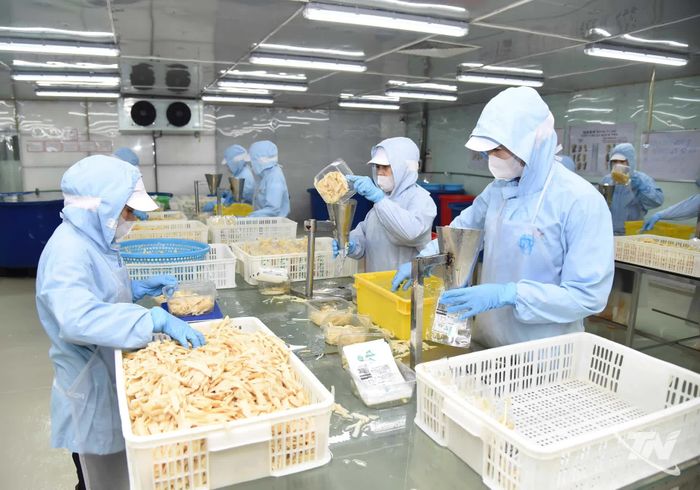 Hoạt động chế biến thực phẩm tại Công ty TNHH Việt Nam Misaki góp phần nâng cao giá trị sản xuất và mở rộng dư địa phát triển công nghiệp chế biến.