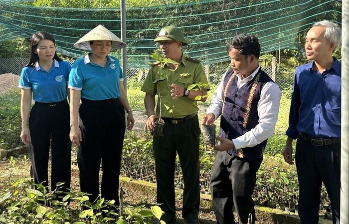  Tham quan các mô hình hỗ trợ sinh kế cho đồng bào