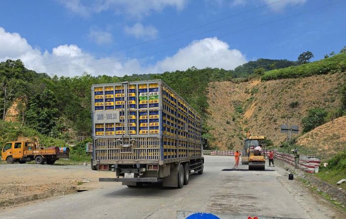 Bên cạnh đó, nhiều đoạn, điểm dọc tuyến vẫn còn những hư hỏng nhỏ, Khu QLĐB III đã tập trung khảo sát, đánh giá và đưa ra giải pháp xử lý. (Trong ảnh: Công tác vá dặm mặt đường đoạn qua địa bàn xã Đăk Plô).