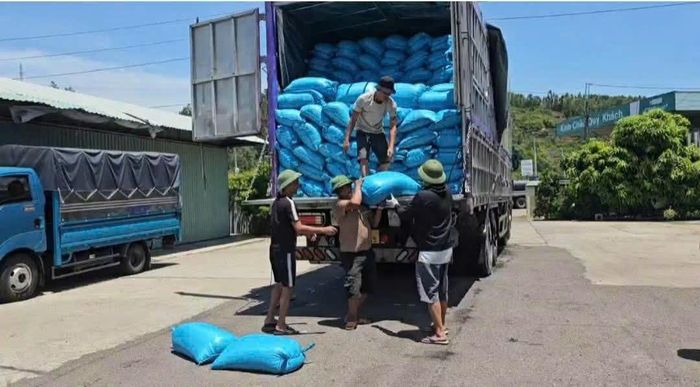 Các phương tiện vi phạm phải hạ tải trước khi tiếp tục được lưu thông.