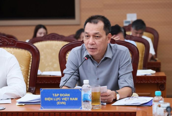Lãnh đạo Tập đoàn EVN phát biểu tại cuộc họp. Ảnh: Mạnh Tuấn
