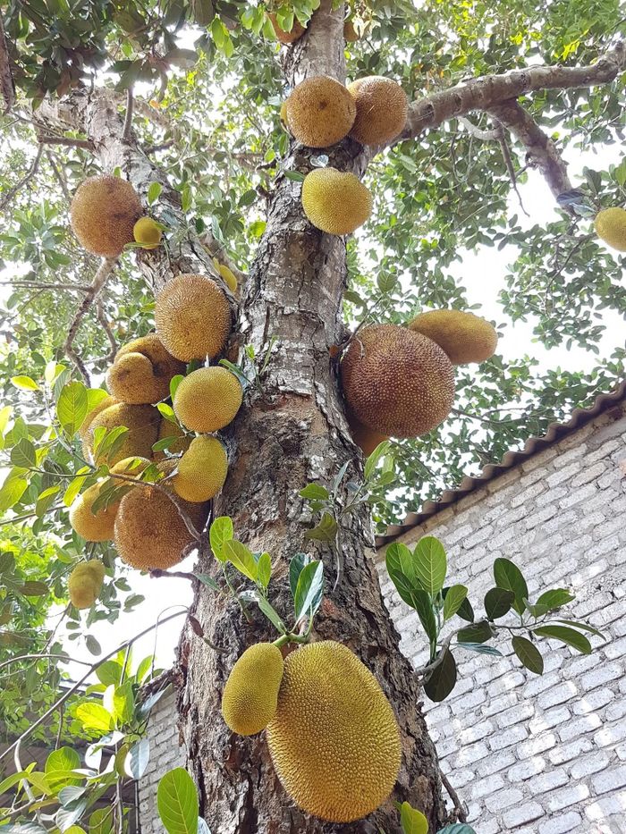 Nguồn thực phẩm cho cả gia đình