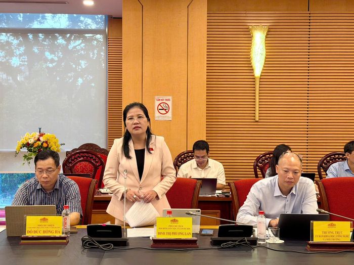 Phó Chủ tịch Hội đồng Dân tộc Đinh Thị Phương Lan phát biểu. Ảnh: Hồ Long