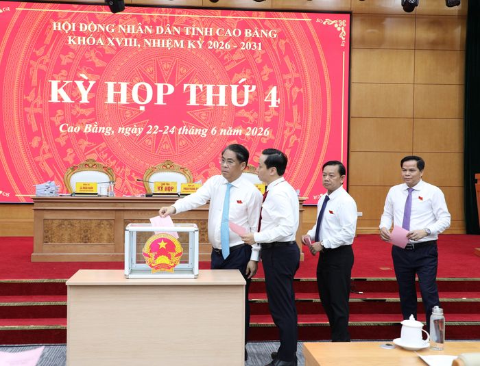Các đại biểu bỏ phiếu bầu Ủy viên UBND tỉnh nhiệm kỳ 2026-2031