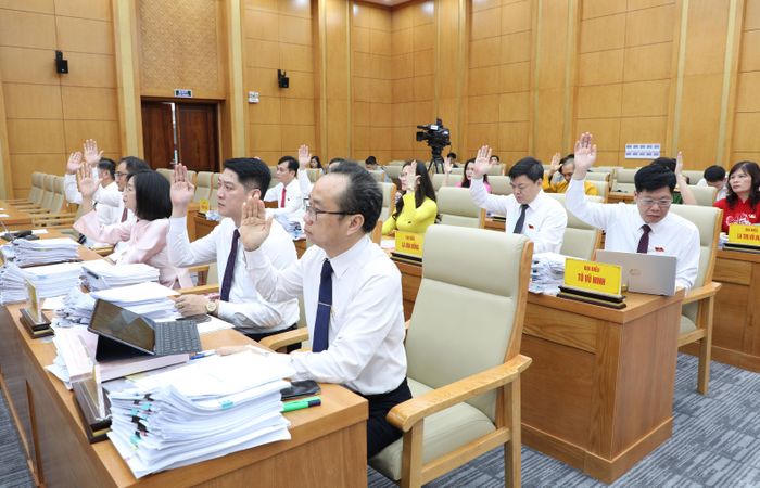 Các đại biểu biểu quyết thông qua nghị quyết