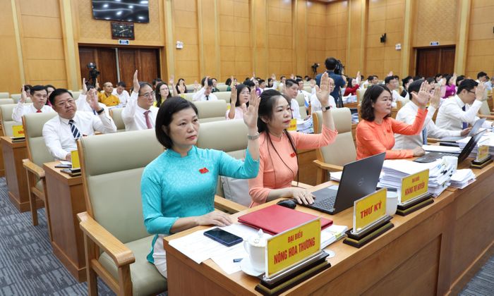 Các đại biểu biểu quyết thông qua nghị quyết