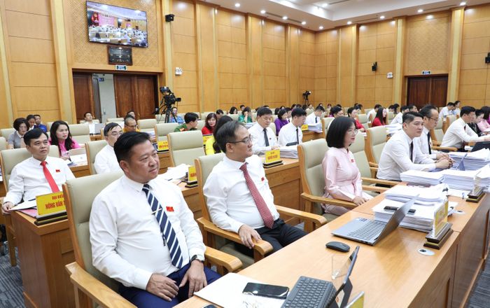 Các đại biểu tham dự kỳ họp