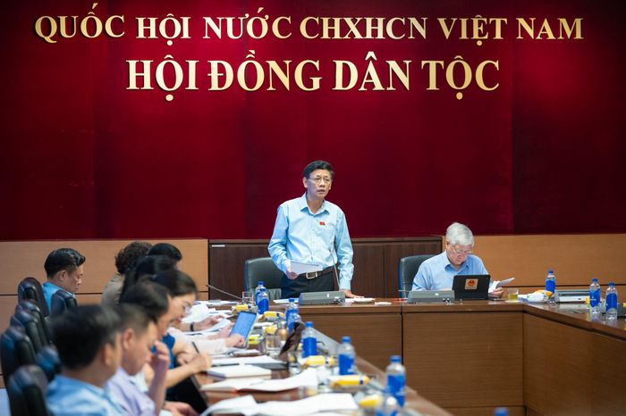 Bí thư Đảng ủy, Chủ tịch Hội đồng Dân tộc Lâm Văn Mẫn phát biểu