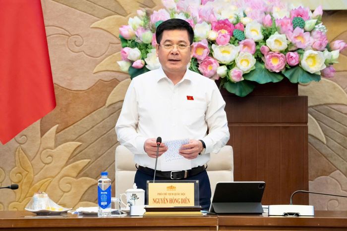 Phó Chủ tịch Quốc hội Nguyễn Hồng Diên chủ trì cuộc làm việc