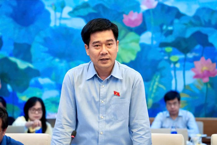 ĐBQH hoạt động chuyên trách tại Ủy ban Pháp luật và Tư pháp Lê Thanh Hoàn phát biểu