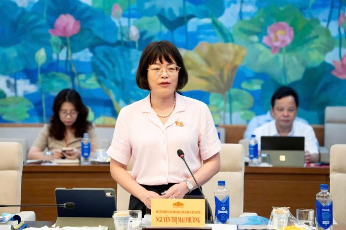 Phó Chủ nhiệm Ủy ban Khoa học, Công nghệ và Môi trường Nguyễn Thị Mai Phương phát biểu