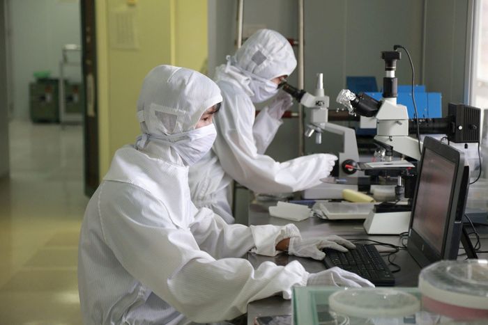 Cần phải thừa nhận "quyền được sai" trong nghiên cứu khoa học. Ảnh minh họa: VNU