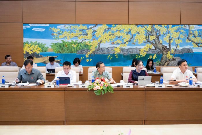 Các đại biểu tham dự Phiên họp