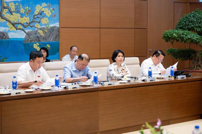 Các đại biểu tham dự Phiên họp