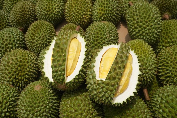 Việt Nam đã có hơn 20 loại rau quả được phép xuất khẩu chính ngạch vào thị trường Trung Quốc, như sầu riêng, chuối, mít, thanh long, nhãn, chôm chôm,...