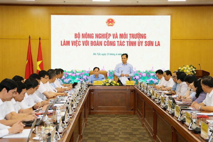 Đồng chí Trịnh Việt Hùng, Bộ trưởng Bộ Nông nghiệp và Môi trường phát biểu kết luận tại buổi làm việc.