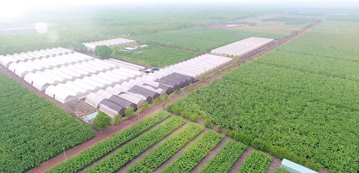 Nhu cầu tiêu dùng thay đổi theo hướng ưu tiên các sản phẩm chất lượng cao, an toàn thực phẩm và có nguồn gốc rõ ràng.