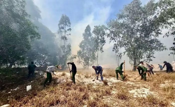 Đến thời điểm hiện tại vụ cháy rừng ở xã Triệu Cơ đã được xử lý triệt để.