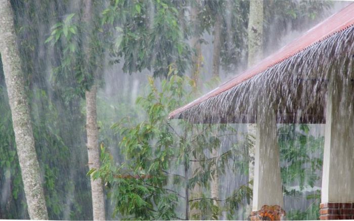 Mưa lớn được dự báo gia tăng trong tháng 7/2026. Ảnh minh họa: Canva