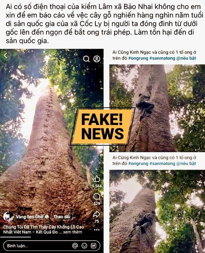 Thông tin đăng sai sự thật của chị H. trên trang facebook cá nhân. Ảnh: Quỳnh Trang