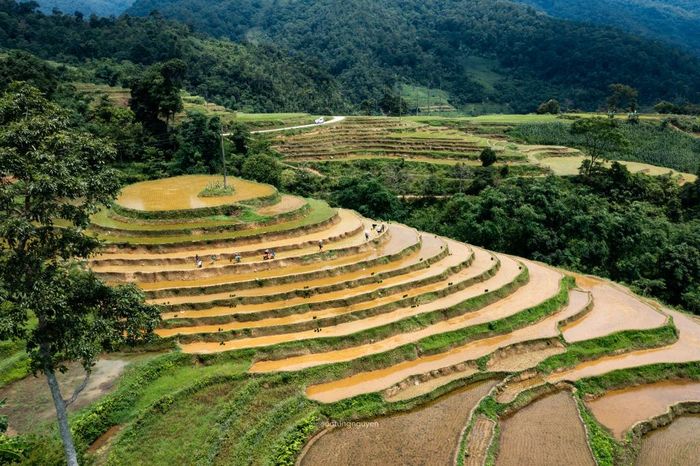 Không khí lao động rộn ràng hiện rõ trên những cánh đồng khi bà con tranh thủ thời tiết thuận lợi để bắt đầu vụ sản xuất.